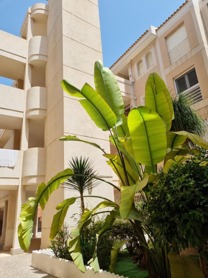 Flamenco Penthouse Sea View & Swimming Pool Apartment Torrevieja Exterior photo